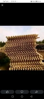 Bamboo fencing compony 0678467527