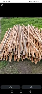 Bamboo fencing compony 0678467527