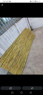Bamboo fencing compony 0678467527
