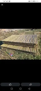 Bamboo fencing compony 0678467527