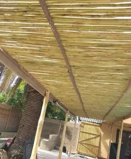 Bamboo fencing