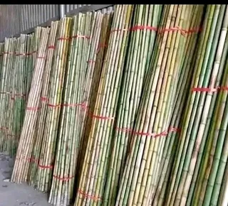 Bamboo fencing