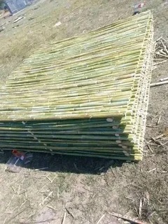 Bamboo fencing compony 0678467527