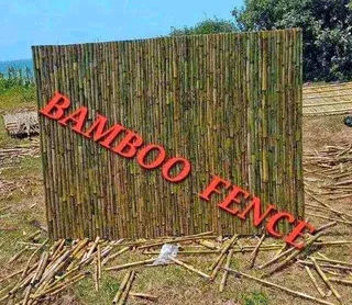 Bamboo fencing, picket fencing