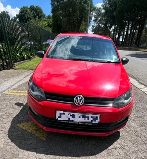 Polo vivo for sale