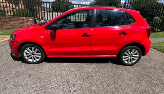Polo vivo for sale