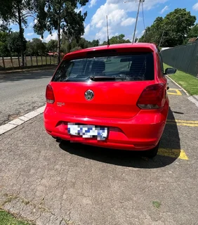 Polo vivo for sale