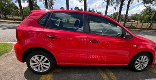 Polo vivo for sale