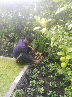 Gardener/ Painter/ Pool cleaner available.