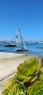 49er performance dinghy