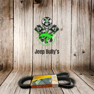 3.6 Dodge Journey Fan Belts