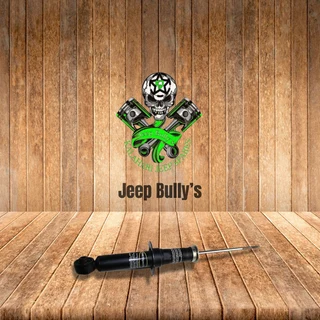 Dodge Journey 3.6 Rear Shocks