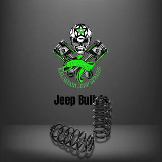 Jeep Patriot 2.4 Suspension Spring