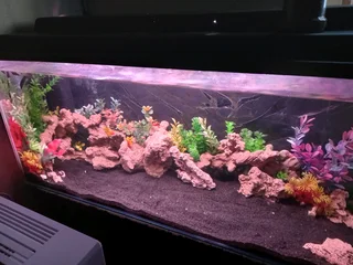 3ft fish tank