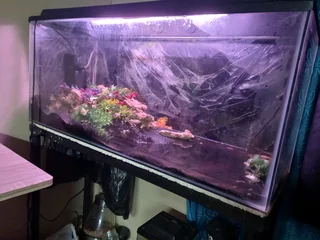 3ft fish tank