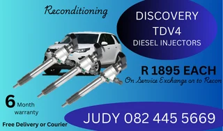 Discovery TDV4 Diesel Injectors for sale on service exchange or to recon