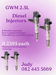 GWM 2.5L Diesel Injectors for sale
