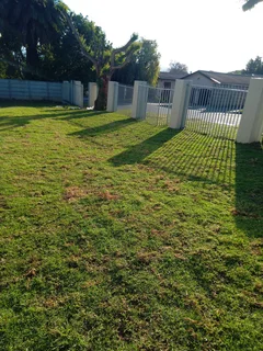 BOREHOLES AND WELLPOINT