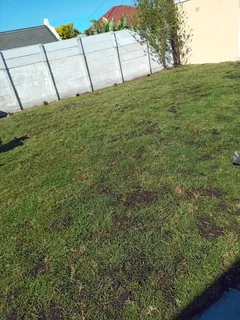 CONCRETE  RING WELL  BOREHOLES AND WELLPOINT