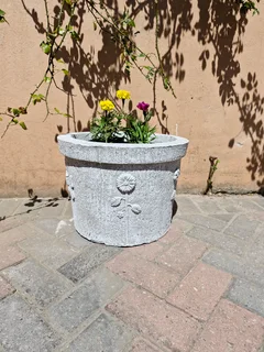 Planters - Ad posted by sindie mhlophe