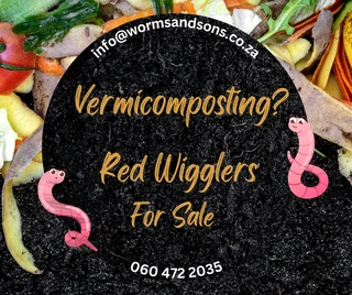 Earthworms/Composting Worms For Sale