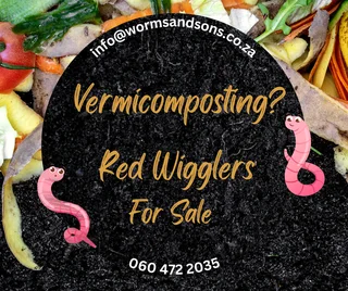 Composting worms for sale - perfect for vermicomposting