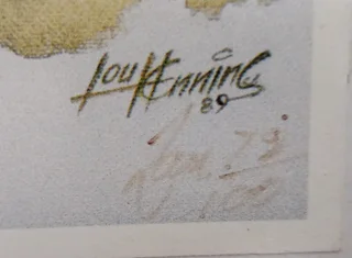 Springbok Rugby Memorabilia