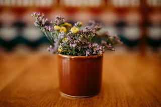 Barista for busy daytime restaurant