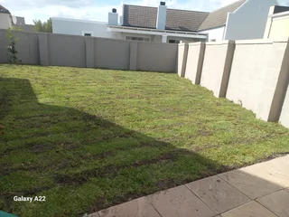 Roll On Lawn Grass#buffalo#kikuyu#lm Berea#gulf Green#cynodone#organic Compost#supply And Install.