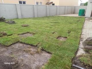 ROLL ON LAWN GRASS#BUFFALO#KIKUYU#LM BEREA#GULF GREEN#CYNODONE#ORGANIC COMPOST#SUPPLY AND INSTALL.