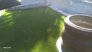 GO GREEN ALL YEAR#BUFFALO#KIKUYU#LM BEREA#GULF GREEN#CYNODONE#ORGANIC COMPOST#SUPPLY AND INSTALL.