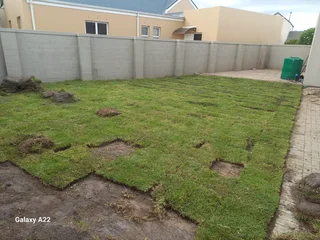 ROLL ON LAWN GRASS#BUFFALO#KIKUYU#LM BEREA#GULF GREEN#CYNODONE#ORGANIC COMPOST#SUPPLY AND INSTALL.