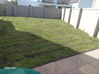 ROLL ON LAWN GRASS#BUFFALO#KIKUYU#LM BEREA#GULF GREEN#CYNODONE#ORGANIC COMPOST#SUPPLY AND INSTALL.
