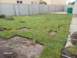 ROLL ON LAWN GRASS#BUFFALO#KIKUYU#LM BEREA#GULF GREEN#CYNODONE#ORGANIC COMPOST#SUPPLY AND INSTALL.