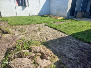 ROLL ON LAWN GRASS#BUFFALO#KIKUYU#LM BEREA#GULF GREEN#CYNODONE#ORGANIC COMPOST#SUPPLY AND INSTALL.