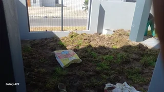 GO GREEN ALL YEAR ROUND#ARTIFICIAL GRASS#BLOCK AND TURF#SUPPLY AND INSTALLATION.