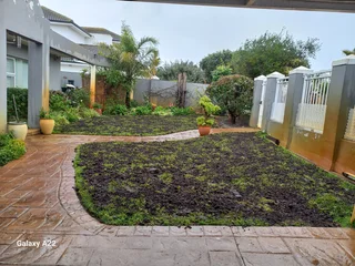 100%weed Free#buffalo#kikuyu#lm Berea#gulf Green#cynodone#organic Compost#supply And Install.