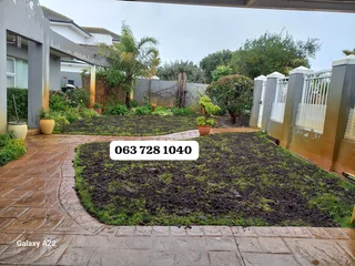 100%weed Free#buffalo#kikuyu#lm Berea#gulf Green#cynodone#organic Compost#supply And Install.