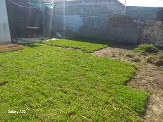 100%WEED FREE#BUFFALO#KIKUYU#LM BEREA#GULF GREEN#CYNODONE#LAWN DRESSING#SUPPLY AND INSTALL.