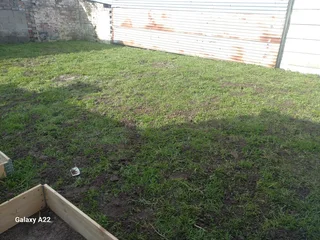 100%WEED FREE#BUFFALO#KIKUYU#LM BEREA#GULF GREEN#CYNODONE#LAWN DRESSING#SUPPLY AND INSTALL.