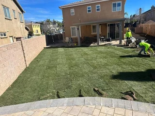 EVERGREEN GRASS SELLING