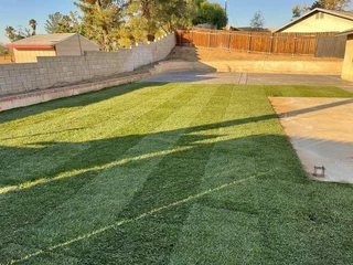 EVERGREEN GRASS SELLING