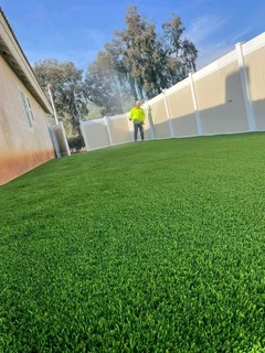 EVERGREEN GRASS SELLING