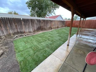 EVERGREEN GRASS SELLING