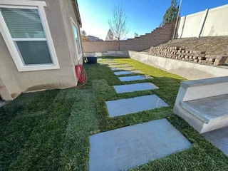 Evergreen Grass Selling