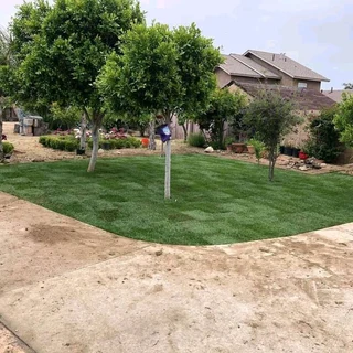 SELLING FRESH LAWN