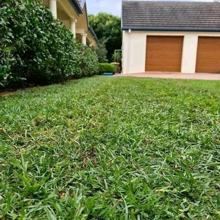 SELLING FRESH LAWN