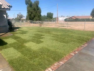 SELLING FRESH LAWN