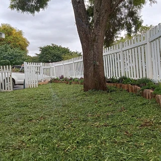 Berea Kikuyu Royal blue