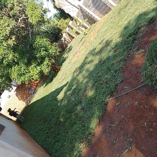 FRESH FRESH LAWN ROLLS